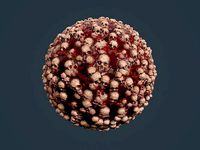 Skull Bones Horror Seamless PBR Texture 3