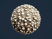 Skull Bones Horror Seamless PBR Texture 2