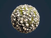 Skull Bones Horror Seamless PBR Texture 2