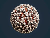 Skull Bones Horror Seamless PBR Texture 1