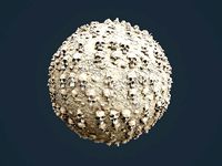Skull Bones Horror Seamless PBR Texture 1