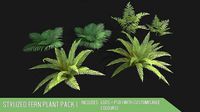 Stylized Fern Plant Pack 1