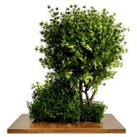 Collection Outdoor plant in garden wood pot 01