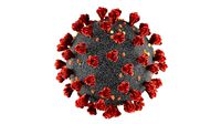 Realistic 3d model of the sars-cov-2 covid-19 virus cell