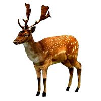 Deer 3D Print Model Game Ready