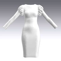 SHIR SLEVEE DRESS