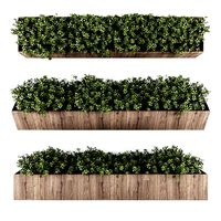 Vertical garden 135