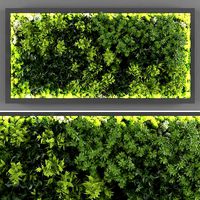 Vertical garden 128