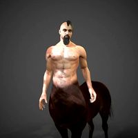 Rigged Centuar