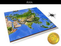 Asia High resolution 3D relief maps