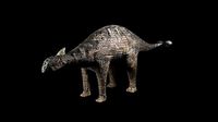 Ankylosaurs