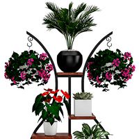 Houseplant 57