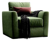 Linteloo winston Armchair