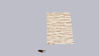 TRACE_TERRA+2x3