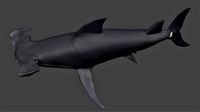 Hammerhead shark