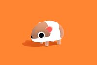 Hola the Hamster - Quirky Series