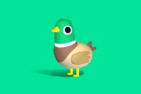 Mister the Mallard - Quirky Series