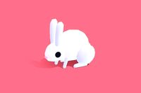 Hoho the Hare - Quirky Series
