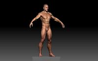 Superhero Base Mesh