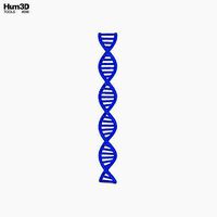 The DNA