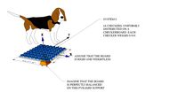 Statics - Checkerboard Analogy for Area Loads and Line Loads I - Uniform Loads