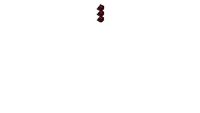 Présentoirs journaux
