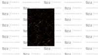 ROCA_ROSSO LEPANTO MC 120X250 R