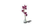 orchidea vo vaze