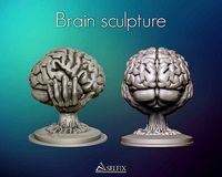 Brain sculpture | 3D