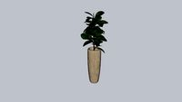 Pot met Plant PTMD