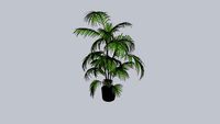 Plant PTMD