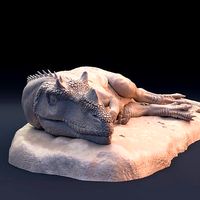 Ceratosaurus sleeping | 3D