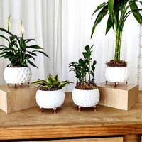 Modern Vase Collection - plant vase | 3D