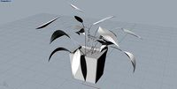 potted plants | 3D