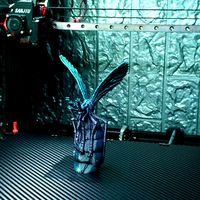 Bloated Mosquito Support Free | 3D