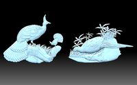 Peacocks | 3D