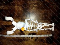 Zero articulating skeleton | 3D