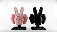 Kaws Bust Accomplice Rabbit Bunny Textured