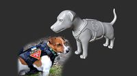 Jack Russell Terrier Patron Ukrainian Dog Landmine Finder | 3D