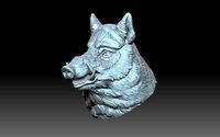 Boar head | 3D