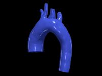 3d model of aorta | 3D