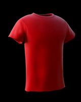 Basic T-Shirt - Custom Colors