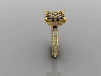 FSEN RING