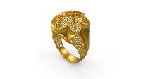 Ultra Vision Ring 779 | 3D