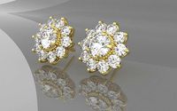 Stud Earring | 3D