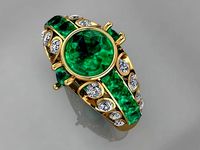 FSEN RING