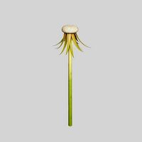 Dandelion Head V1