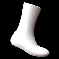 Long Sock