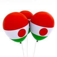 Niger country balloon low poly 3d model