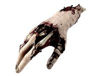 Severed hand 2